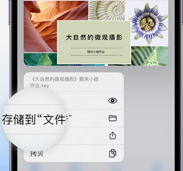 克山apple维修中心分享iPhone文件应用中存储和找到下载文件