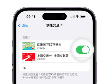 克山apple维修点分享iPhone上更换Apple Pay快捷交通卡手绘卡面 