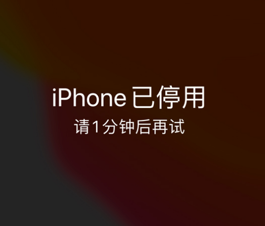 克山苹果手机维修分享:iPhone 显示“不可用”或“已停用”怎么办？还能保留数据吗？ 