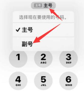 克山苹果14维修店分享iPhone 14 Pro Max使用副卡打电话的方法 