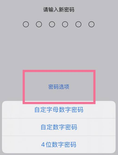 克山苹果14维修分享iPhone 14plus设置密码的方法 