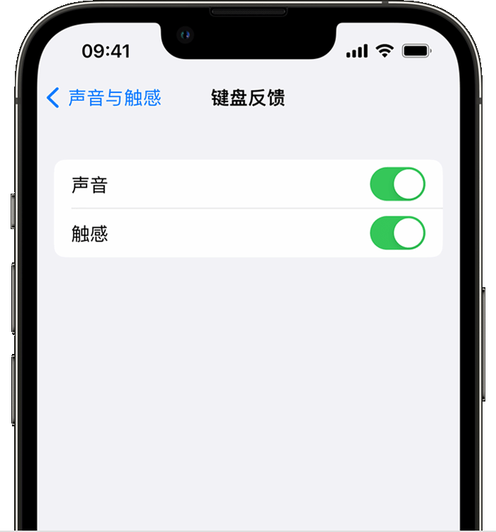 克山苹果14维修分享iPhone 14 系列机型如何开启键盘声音或触感反馈 