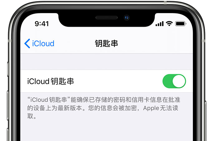 克山苹果手机维修分享在 iPhone 上开启 iCloud 钥匙串之后会储存哪些信息 