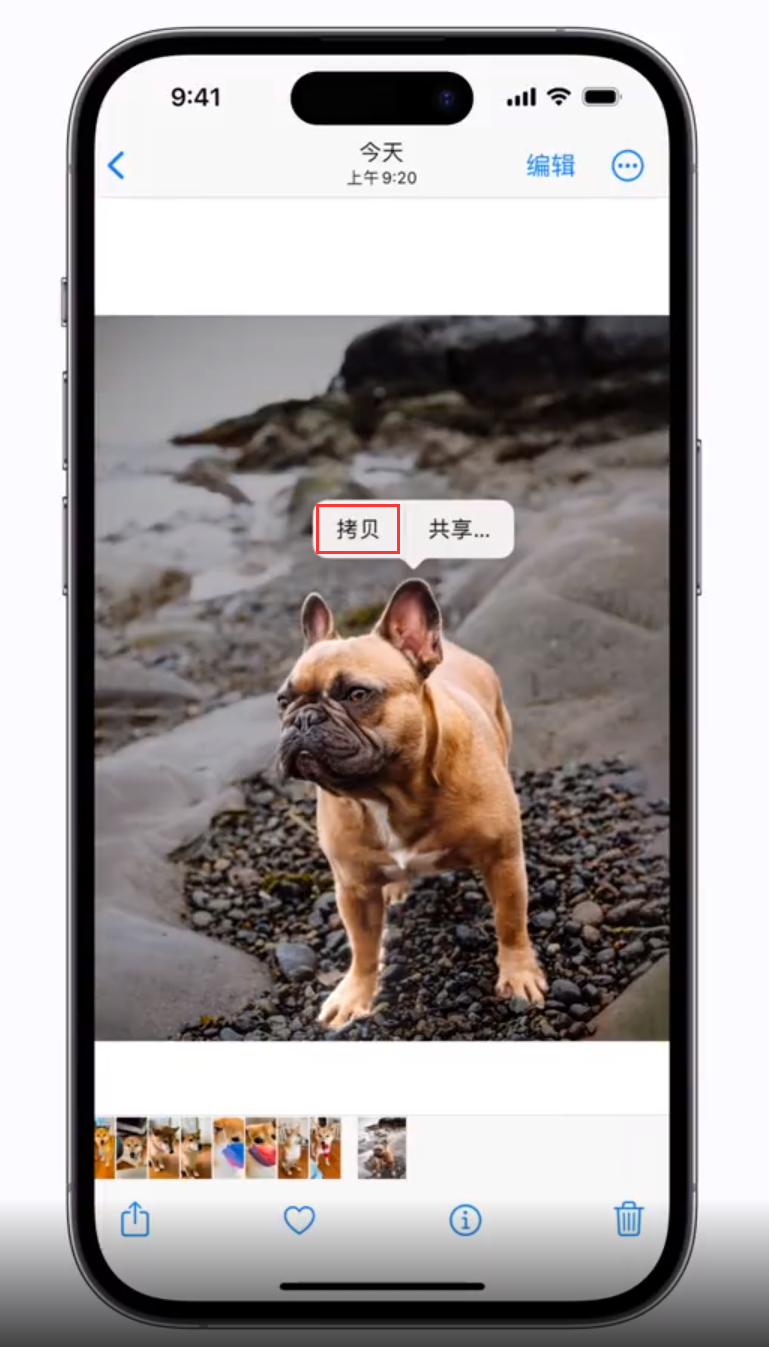 克山苹果手机维修分享 iOS 16 自带一键抠图功能 