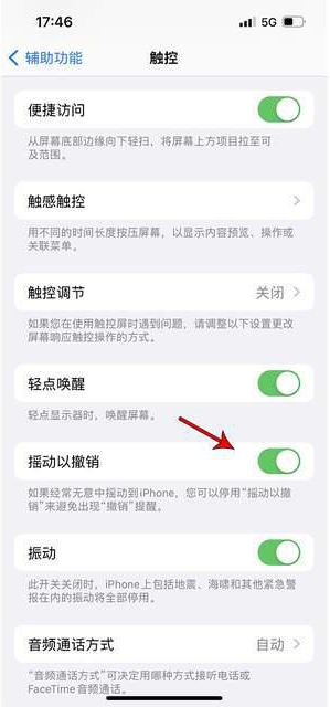 克山苹果手机维修分享iPhone手机如何设置摇一摇删除文字 