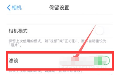 克山苹果13维修分享iPhone13拍照有绿点是怎么回事 